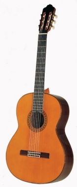 Esteve 8 classical solid guitar